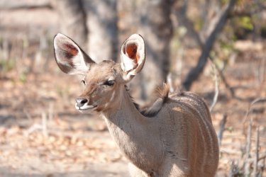 DSC09027.JPG DSC09027.JPG