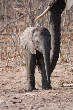 DSC09028.JPG DSC09028.JPG