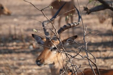 DSC09044.JPG DSC09044.JPG