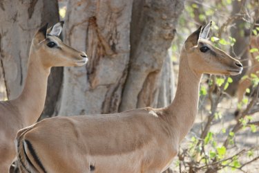 08051543.JPG 08051543.JPG