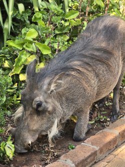 20240805_103837.jpg 20240805_103837.jpg