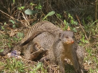 20240805_114033.jpg 20240805_114033.jpg