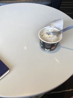 IMG_1486.jpeg IMG_1486.jpeg