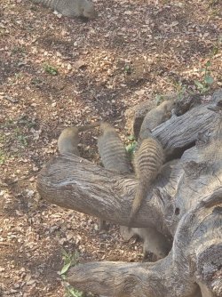 20240805_140044.jpg 20240805_140044.jpg