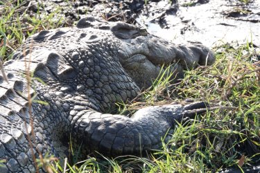 DSC09050.JPG DSC09050.JPG