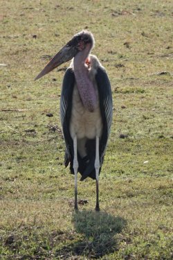 DSC09054.JPG DSC09054.JPG