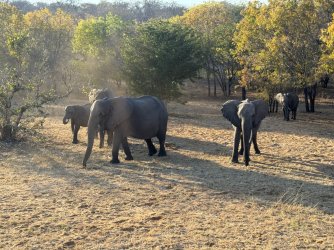 IMG_2009.JPG IMG_2009.JPG