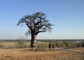 IMG_2012.JPG IMG_2012.JPG