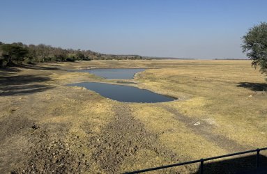 IMG_2013.JPG IMG_2013.JPG