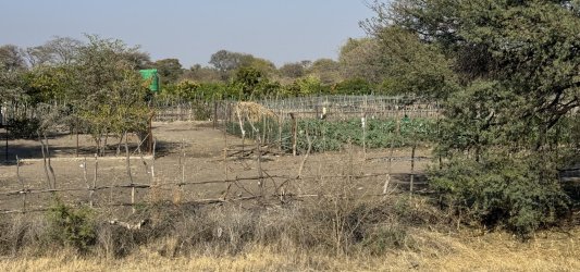 IMG_2026.JPG IMG_2026.JPG