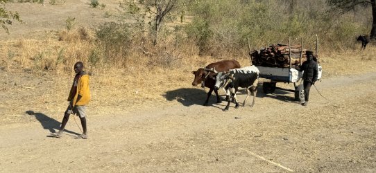 IMG_E2036.JPG IMG_E2036.JPG