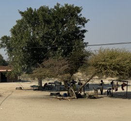 IMG_2083.JPG IMG_2083.JPG