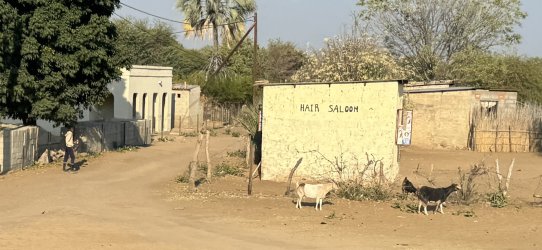 IMG_E2104.JPG IMG_E2104.JPG