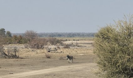 IMG_2087.JPG IMG_2087.JPG