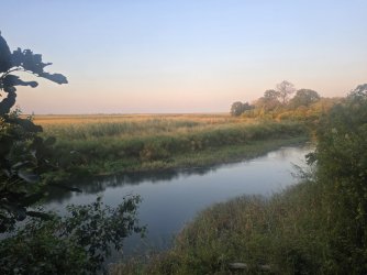 20240806_175351.jpg 20240806_175351.jpg