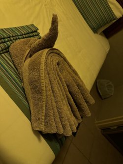 IMG_2119.JPG IMG_2119.JPG