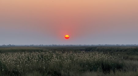 IMG_2122.JPG IMG_2122.JPG