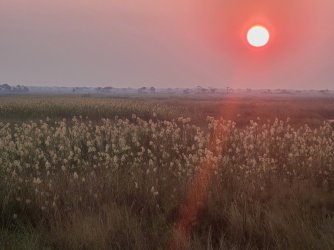 20240807_070457.jpg 20240807_070457.jpg