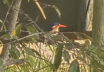 20240807_084718.jpg 20240807_084718.jpg