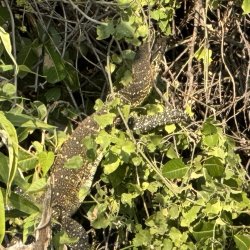 IMG_2126.JPG IMG_2126.JPG