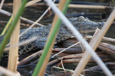 08071601.JPG 08071601.JPG