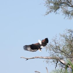 08071610.JPG 08071610.JPG