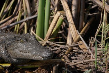 08071612.JPG 08071612.JPG