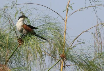 08071618.JPG 08071618.JPG