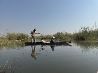 IMG_2137.JPG IMG_2137.JPG