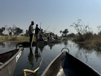 IMG_2146.JPG IMG_2146.JPG