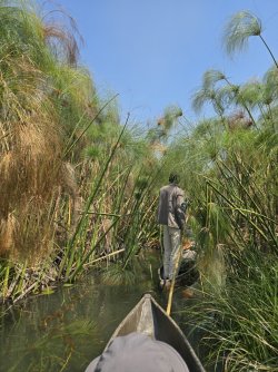 20240807_120712.jpg 20240807_120712.jpg