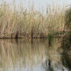 IMG_2128.JPG IMG_2128.JPG