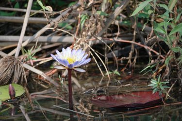 08071621.JPG 08071621.JPG