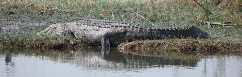 08071628.JPG 08071628.JPG