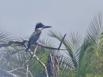 20240807_140935.jpg 20240807_140935.jpg