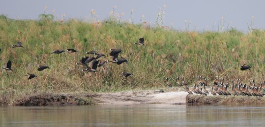 08071639.JPG 08071639.JPG