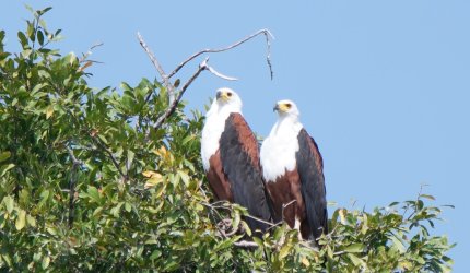 08071642.JPG 08071642.JPG