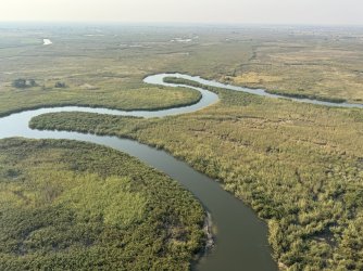 IMG_2175.JPG IMG_2175.JPG