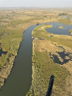 IMG_2178.JPG IMG_2178.JPG