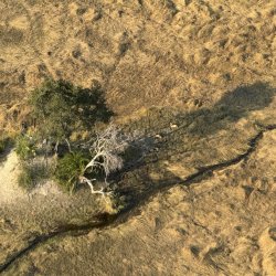 IMG_2181.JPG IMG_2181.JPG