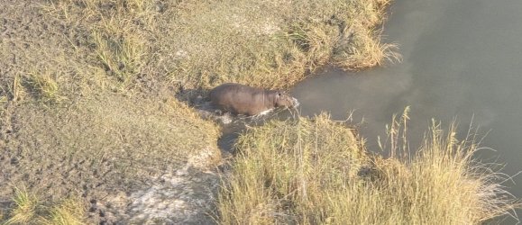 20240807_163349.jpg 20240807_163349.jpg