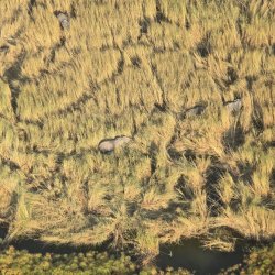 20240807_163738.jpg 20240807_163738.jpg