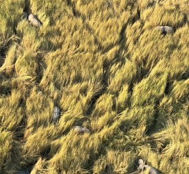 IMG_2191.JPG IMG_2191.JPG