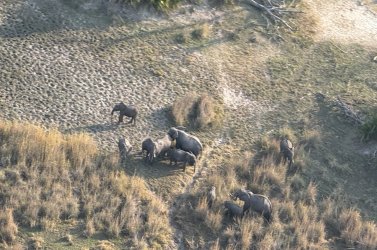 IMG_2203.JPG IMG_2203.JPG