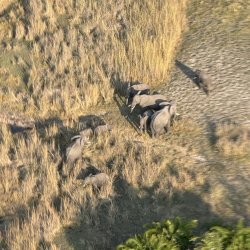 IMG_2207.JPG IMG_2207.JPG