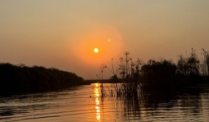 IMG_2221.JPG IMG_2221.JPG