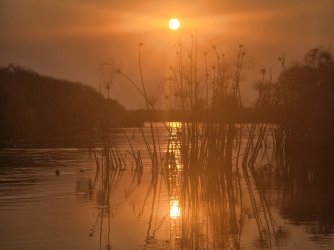 20240807_175335.jpg 20240807_175335.jpg