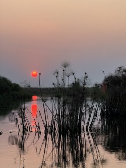 IMG_2231.JPG IMG_2231.JPG