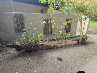 20240808_075353.jpg 20240808_075353.jpg