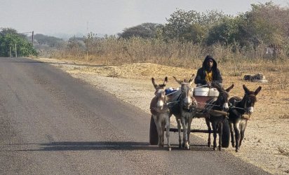 20240808_084605.jpg 20240808_084605.jpg